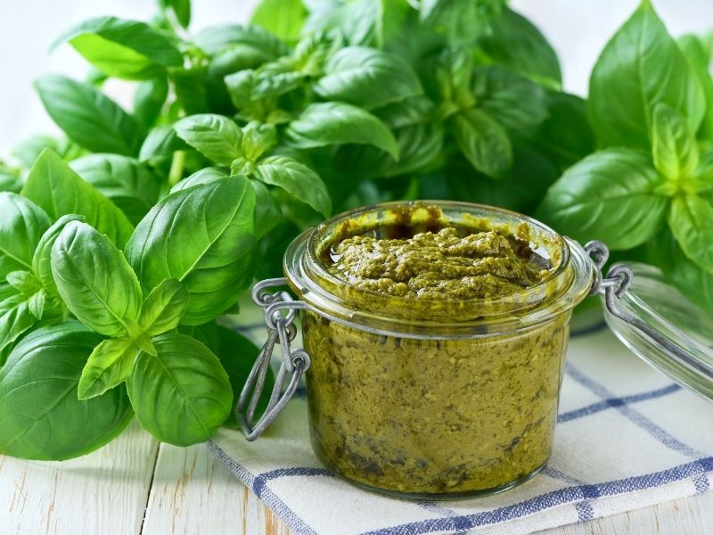 pesto sos