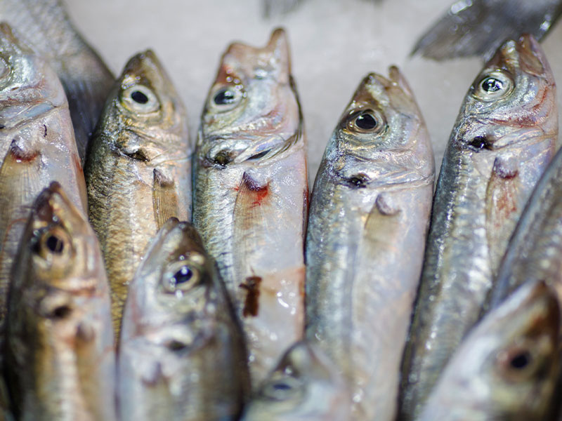 Temiz ve Kapalı Bir Kap Kullanın