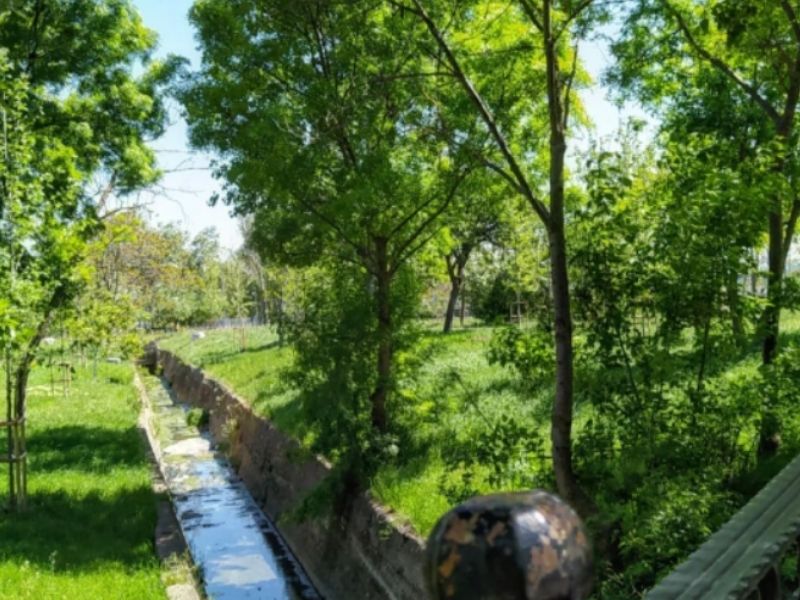 Florya Atatürk ormanı