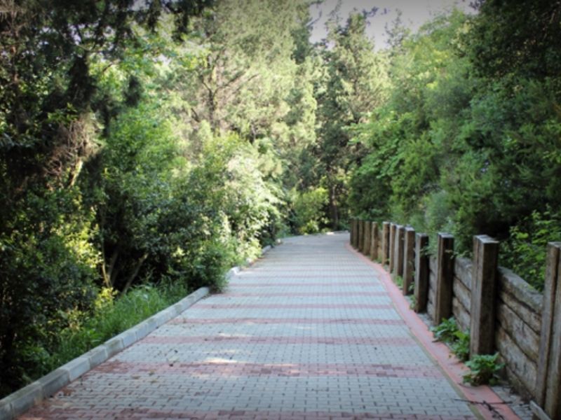 Mihrabat tabiat parkı