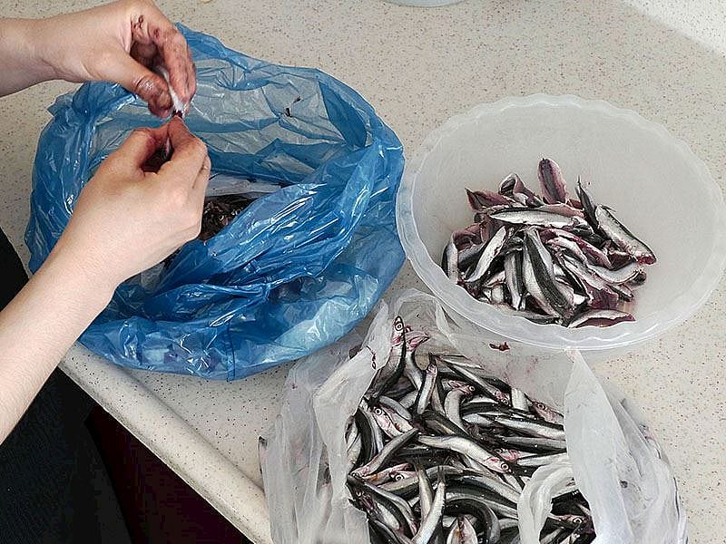 1 Kg Hamsi Kaç Adet Olur?