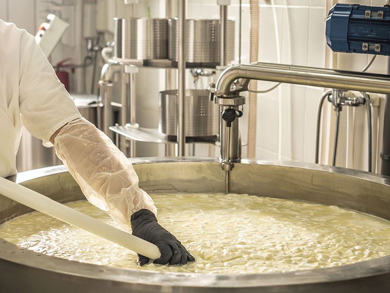 2 Kilo Sütten Ne Kadar Peynir Çıkar?