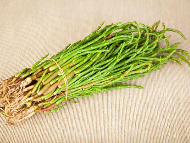 3 Adımda Deniz Börülcesi Nasıl Temizlenir?