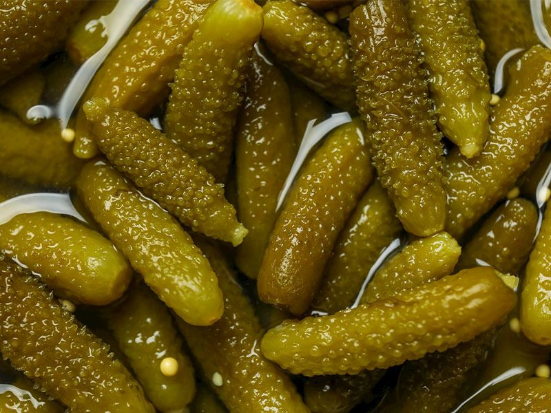 4 Kilo Kornişon Turşu Yapmak İçin 4 Tüyo