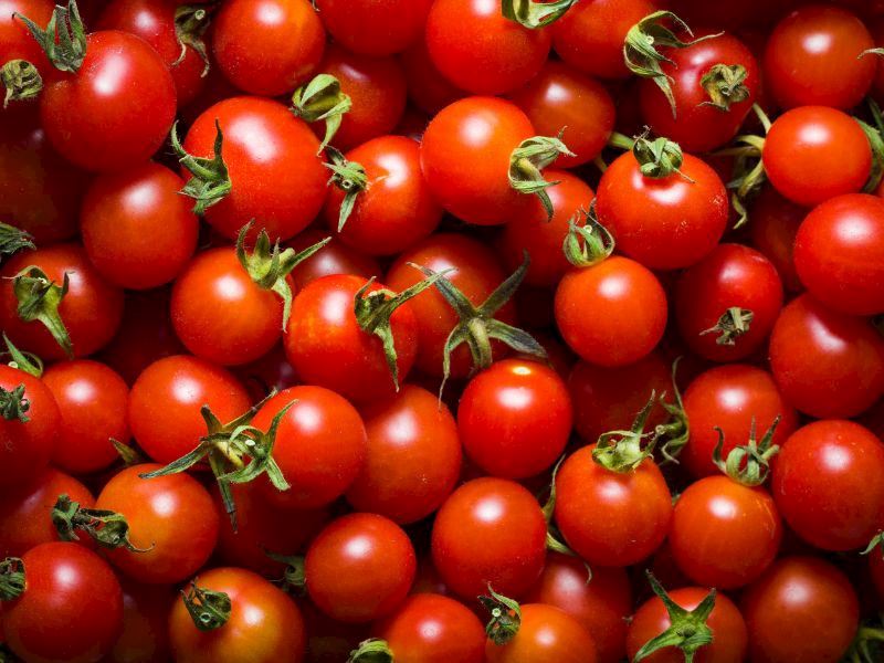 5 Kilo Domatesten Ne Kadar Salça Çıkar?