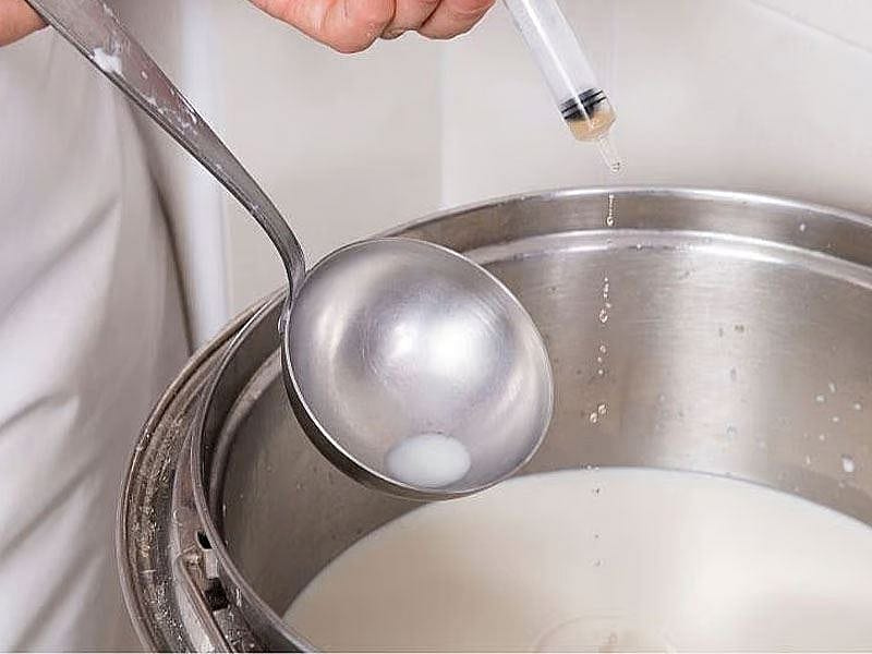 5 Kilo Sütten Ne Kadar Beyaz Peynir Çıkar?