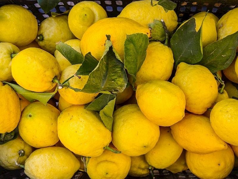Alışveriş Sepetinize Limon Atmadan Önce Bu Detayı Mutlaka Kontrol Edin
