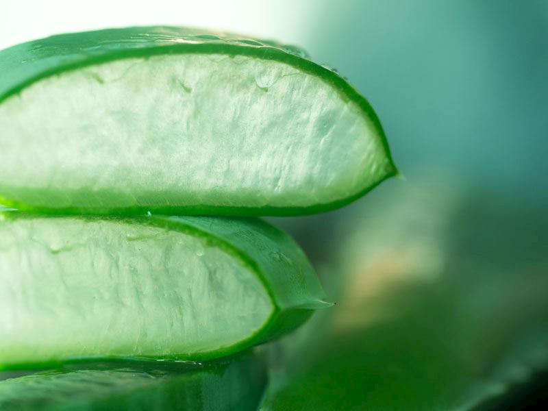 Aloe Vera Jeli Nasıl Saklanır?