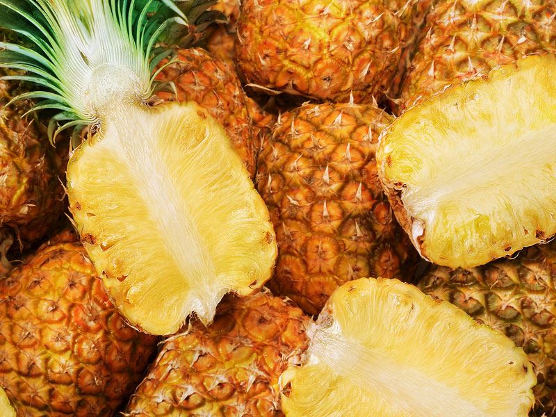 Ananas Nasıl Saklanır? Farklı Ananas Saklama Yöntemleri
