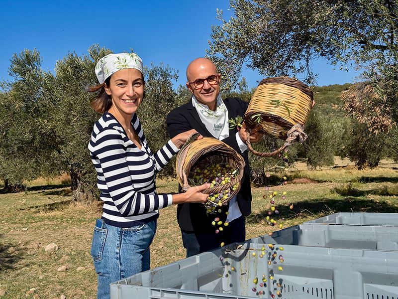 Atlas ve Yudum Egemden Ayvalık'ta Zeytin Hasadında Buluştu