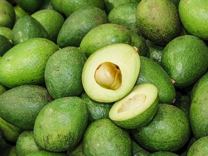 Avokado Buzlukta Nasıl Saklanır?