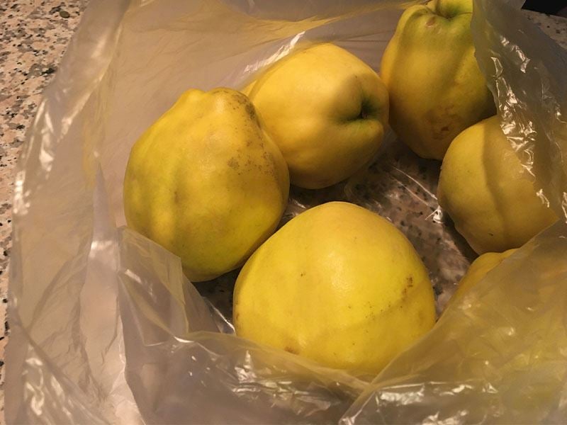 Ayvanın İyi Olduğu Sadece Bu Detaydan Belli Oluyormuş