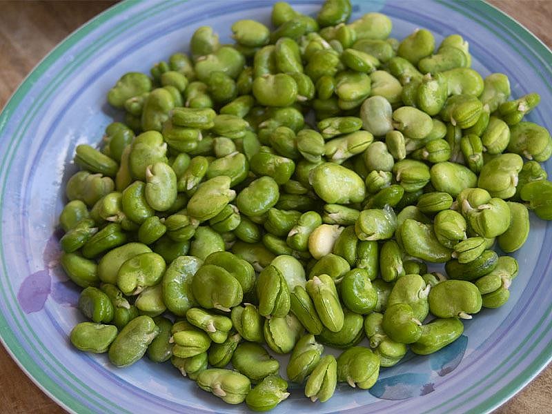 Bakla Haşlarken Tuz Atılır Mı?