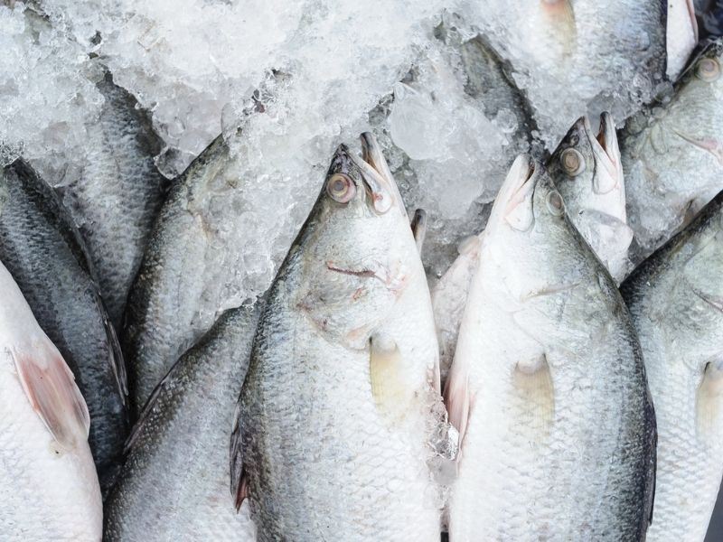 Balık Buzlukta Nasıl Saklanır? Balık Saklarken Nelere Dikkat Edilmeli?
