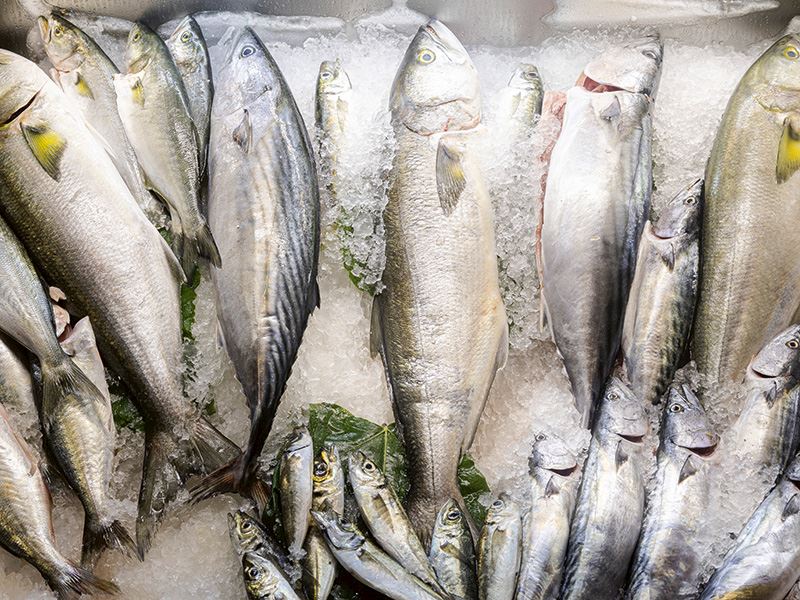 Yeniköy Balıkçısı'ndan Püf Noktalarıyla 5 Nefis Balık Tarifi