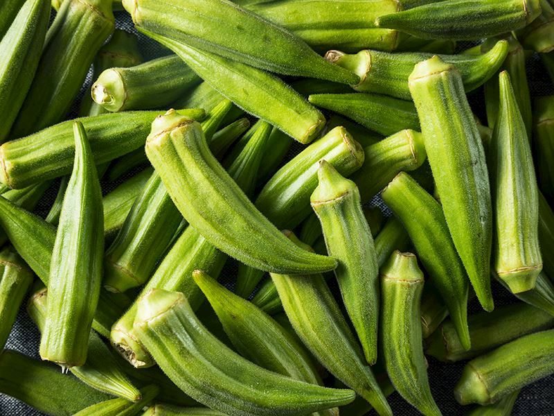 Bamyanın Tüyleri Nasıl Temizlenir?