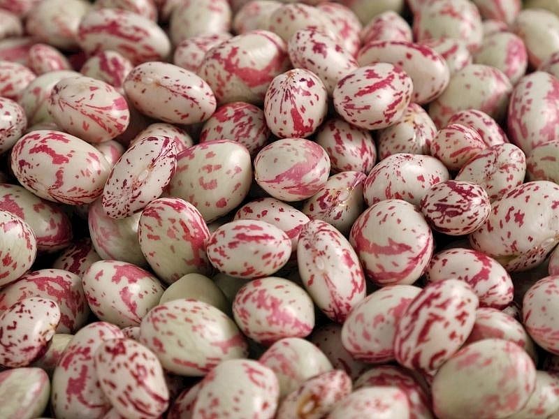 Barbunya Buzluğa Koymadan Yıkanır Mı?