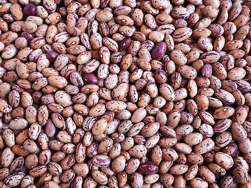Barbunya Haşlanıp Buzluğa Atılır Mı?