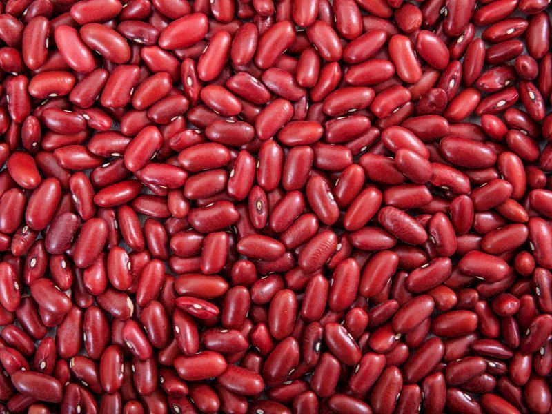 Barbunya Neden Gaz Yapar?