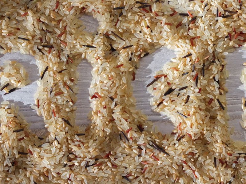 Beyaz Pirinç Tercih Edilmeli Mi? Beyaz Pirincin Özellikleri Nedir?