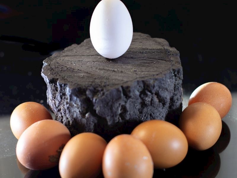 Beyaz Yumurta ve Kahverengi Yumurta Arasındaki Farklar