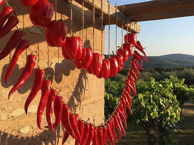 Biber Kuruturken Delinir Mi?