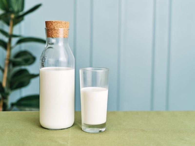 Bozuk Süt Nasıl Anlaşılır, Süt Ne Kadar Sürede Bozulur?