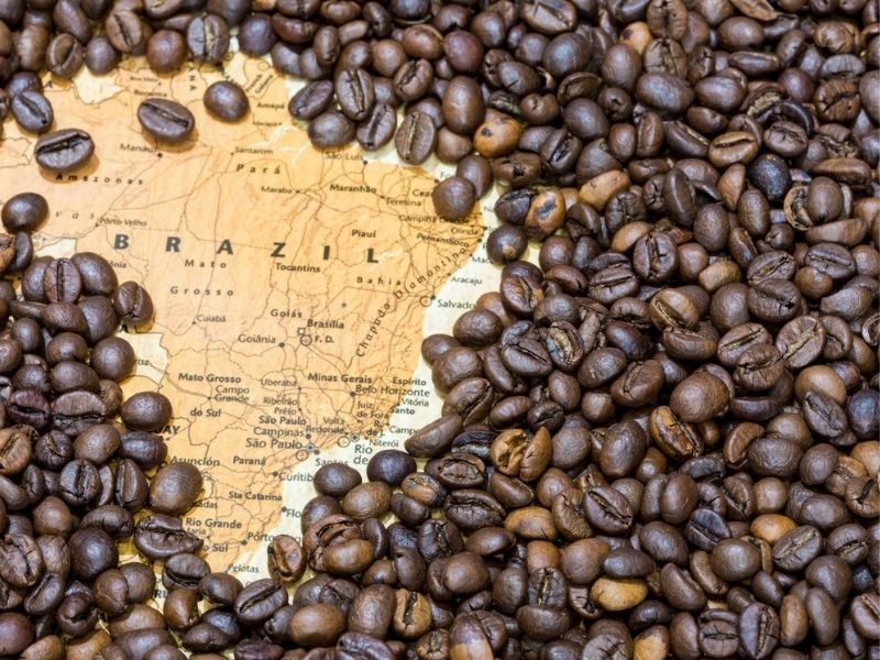 Brezilya Kahvesi Nedir, Özellikleri Nelerdir?