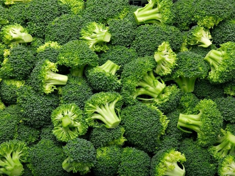 Brokoli Hangi Mevsimde Yetişir?