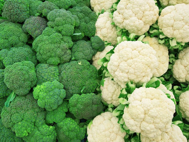 Brokoli ve Karnabahar: Hangisi Daha Sağlıklı?