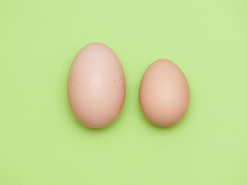 Büyük ve Ekstra Büyük Yumurtalar: Fark Gerçekten Önemli mi?