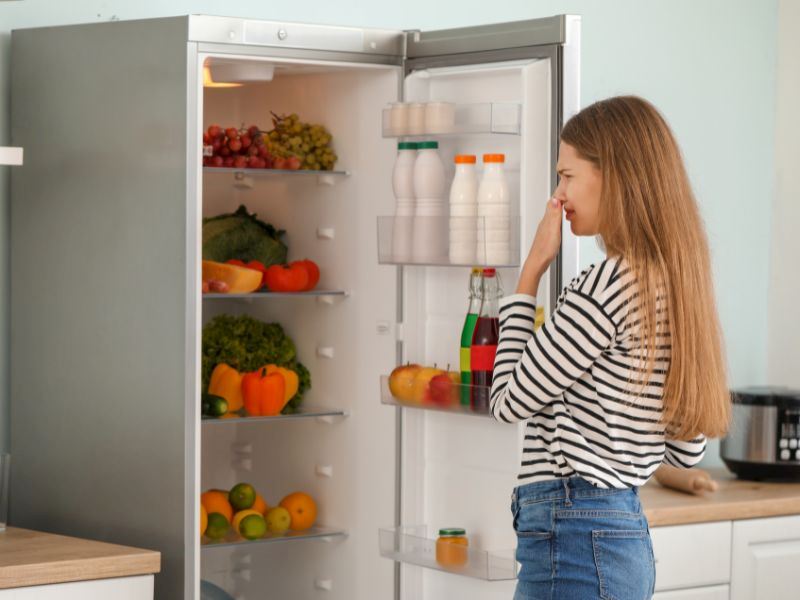 Buzdolabı koku yapıyor: Neden olur? İşte kokunun 5 nedeni ve çözümü