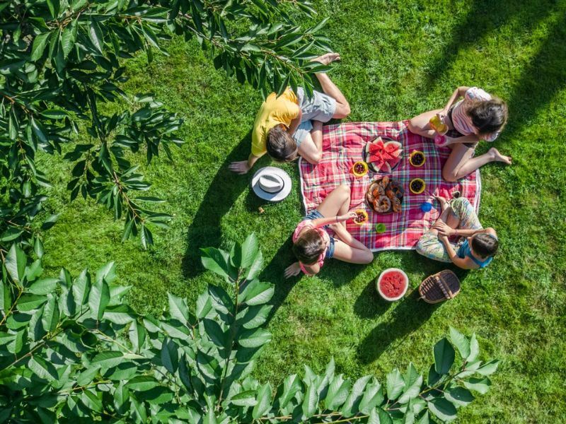 Çatalca Piknik Alanları: Çatalca'daki En İyi 7 Piknik Yeri