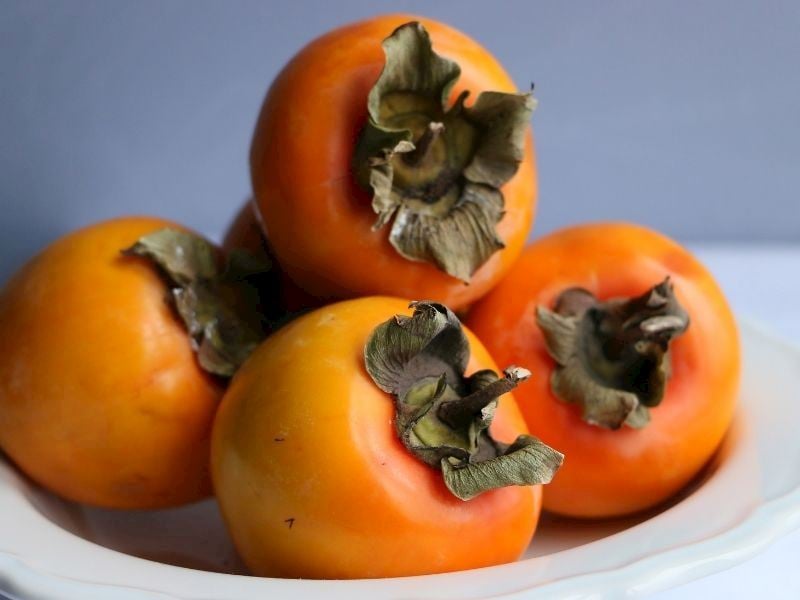 Cennet Hurması Evde Nasıl Yetiştirilir?