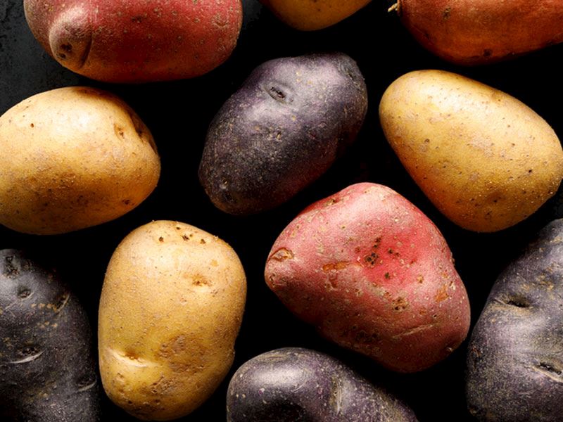 Çiğ Patates Yemek: Sağlıklı mı, Zararlı mı?