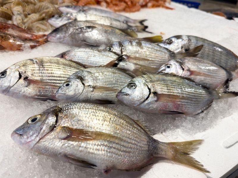 Çipuranın Küçüğüne Ne Denir? 