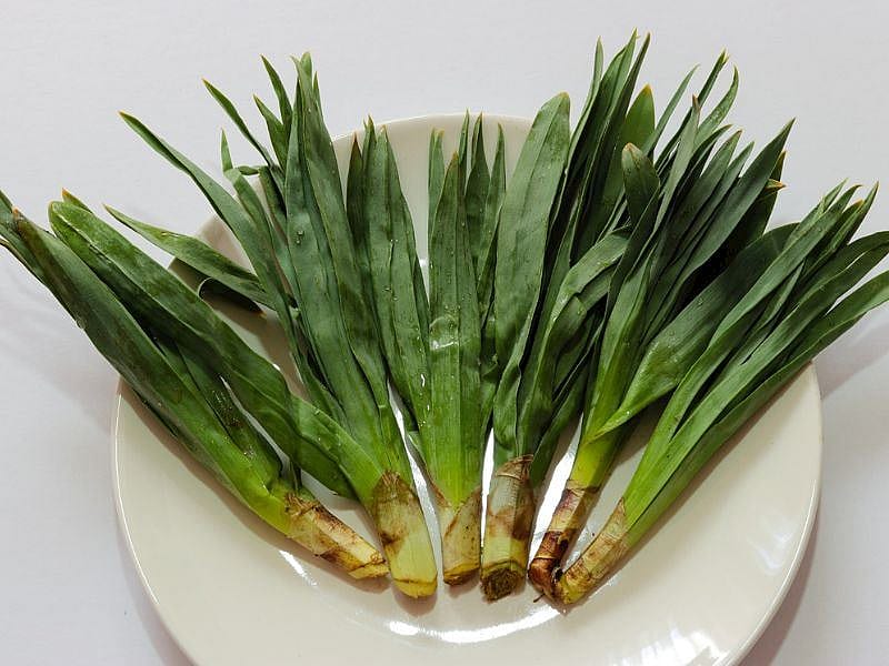 Çiriş Otu İle Neler Yapılır?