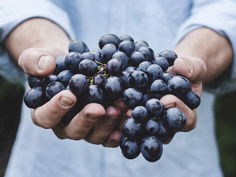 Detoks Nasıl Yapılır?