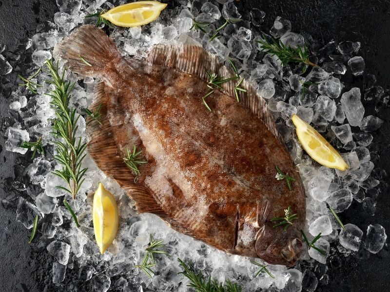 Dil Balığı Nasıl Pişirilir: 10 Farklı Tarif