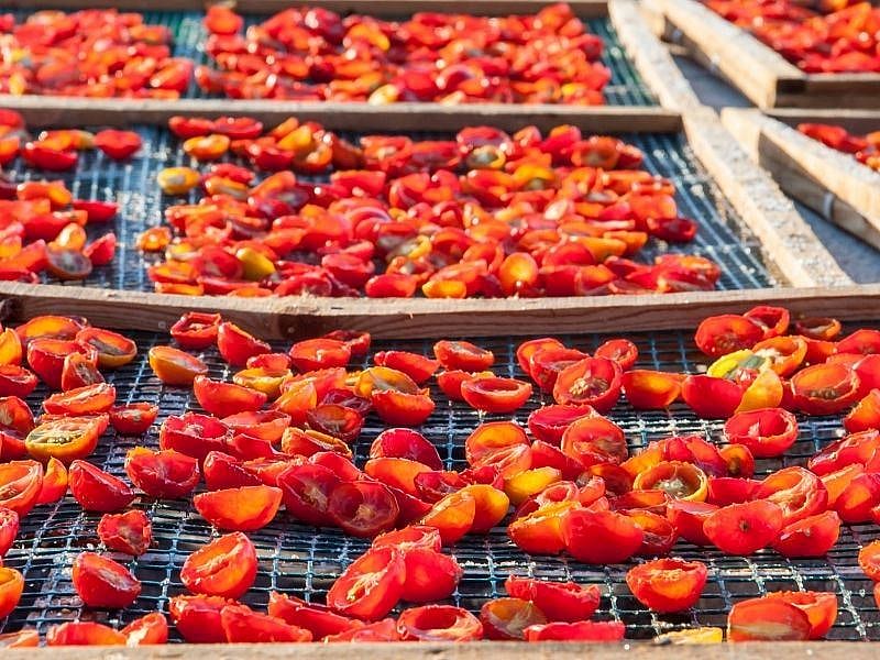 Domates Kuruturken Nelere Dikkat Edilmeli?