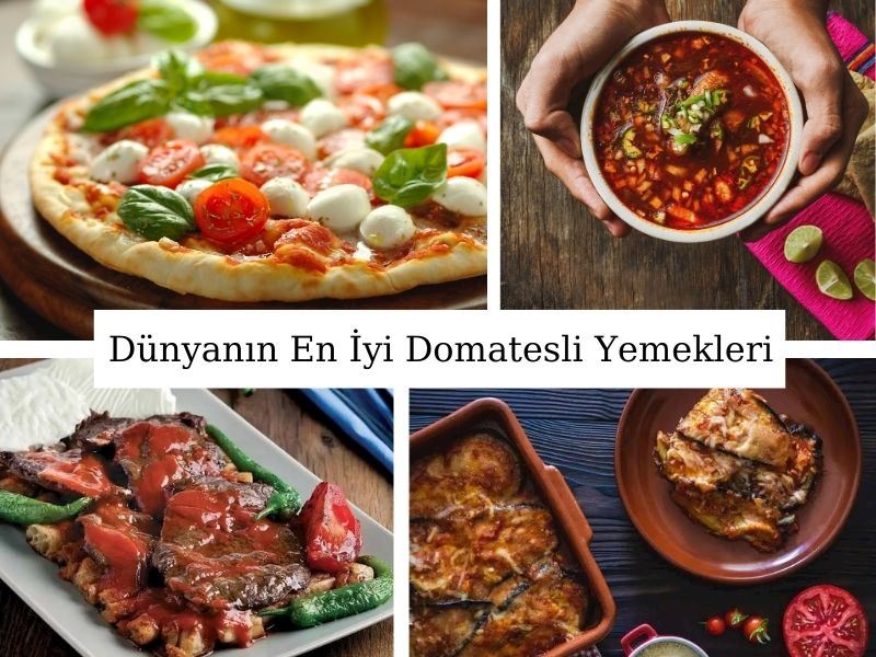 Dünyanın En İyi Domatesli Yemekleri Seçildi: Türkiye'den 10 Yemek Var!