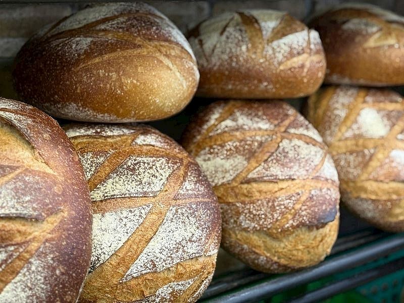 Ekmek İlk Günkü Gibi Nasıl Taze Tutulur?