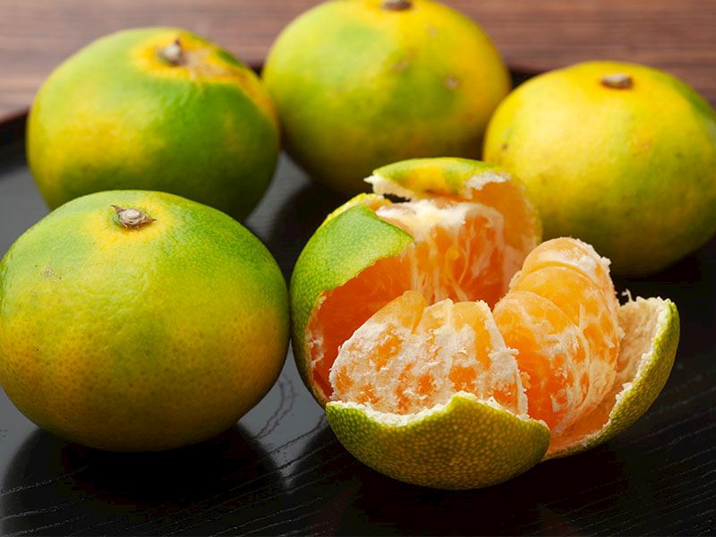 Ekşi Mandalinayı 10 Dakikada Tatlandıran 5 Taktik