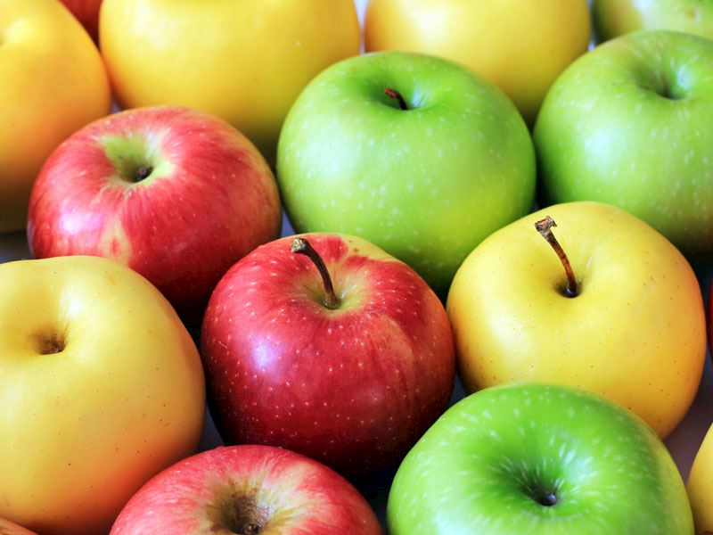 Elmalardan Balmumu, Böcek İlaçları ve Bakterileri Temizlemenin 6 Yolu