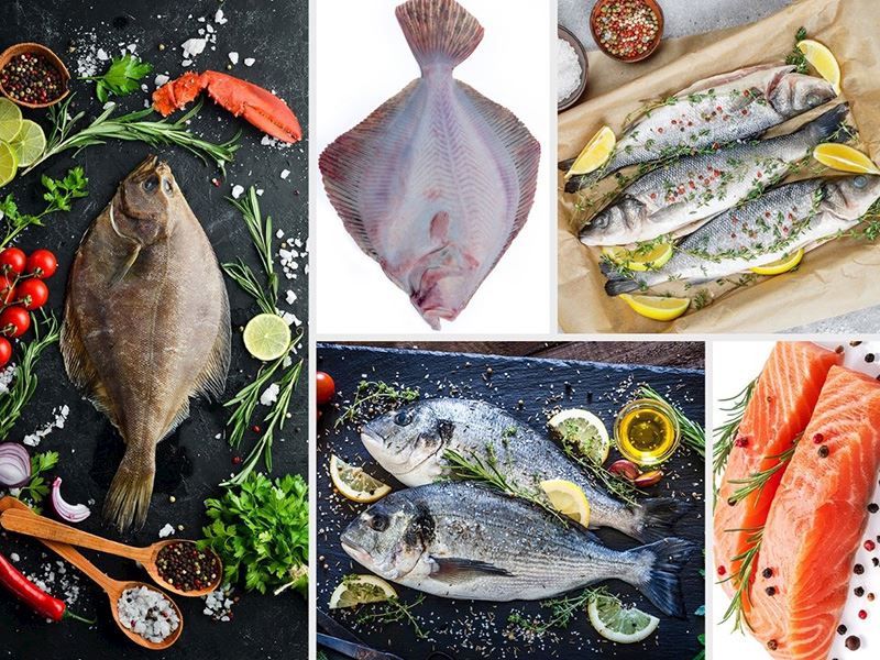 En Az Kılçıklı Balık Hangisi?