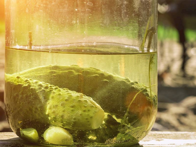 En İyi Turşu Sirkeden Mi Limondan Mı Yapılır?