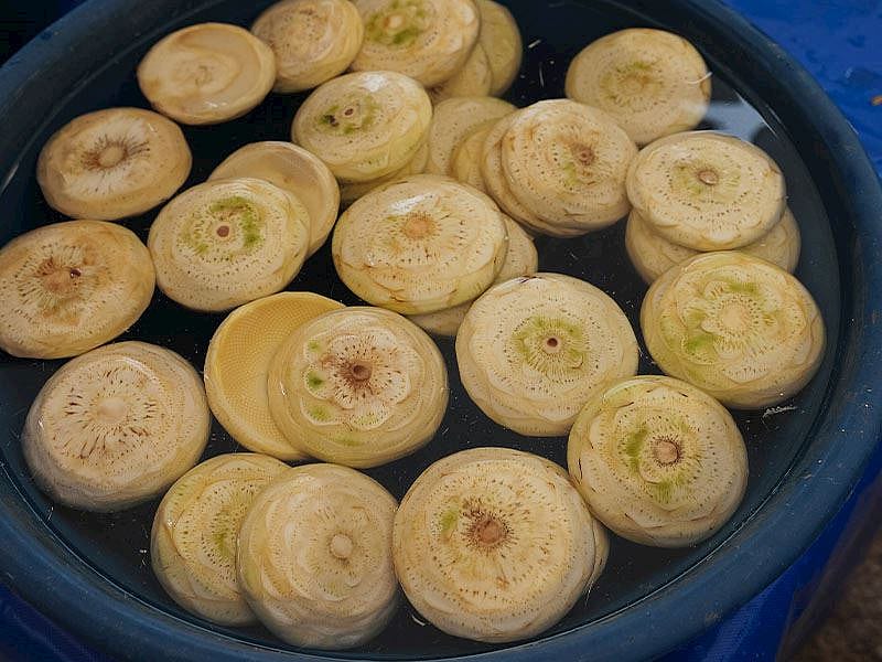 Enginar Limonlu Suda Kaç Gün Bekler?