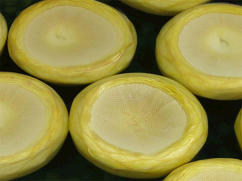 Enginar Suyuna Ne Konur?