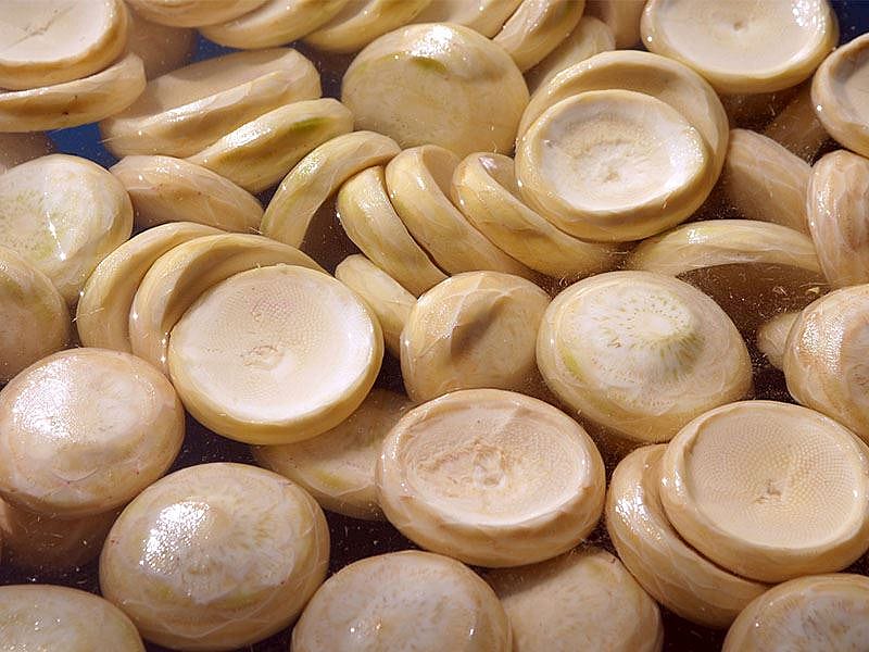 Enginarın Kararmaması İçin Ne Yapmalı?