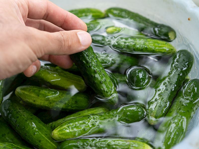 Ev Yapımı Turşunun Bozulduğunu Nasıl Anlarız?